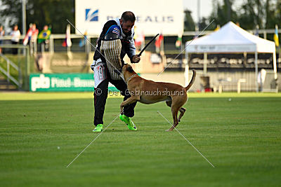 Vaxx Vaxxen von der Steinteichmühle