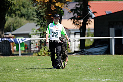 Vegas von der Burg Hinte