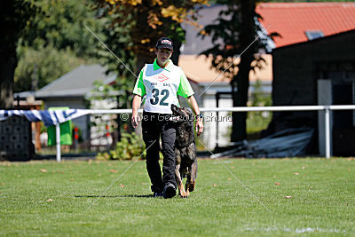 Vegas von der Burg Hinte