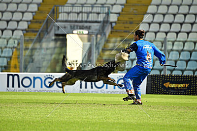 Vegas von der Burg Hinte