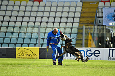Vegas von der Burg Hinte