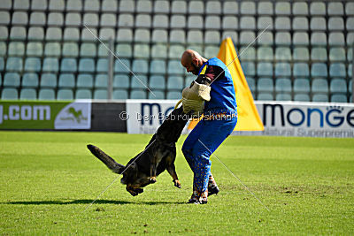 Vegas von der Burg Hinte