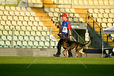 Vegas von der Burg Hinte