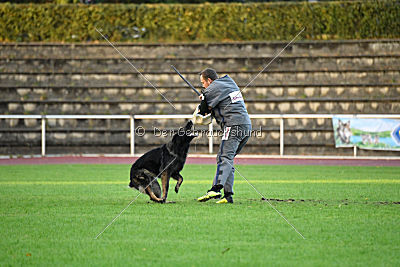 Venja vom Germanenadel