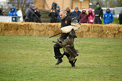 Vernita green Kill Bill