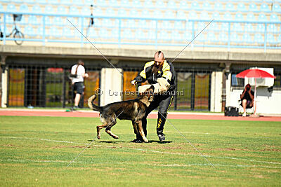 Vicco aus der Königshöhle