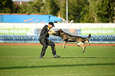 Vicco aus der Königshöhle
