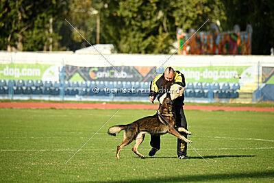 Vicco aus der Königshöhle