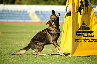 Vicco aus der Königshöhle