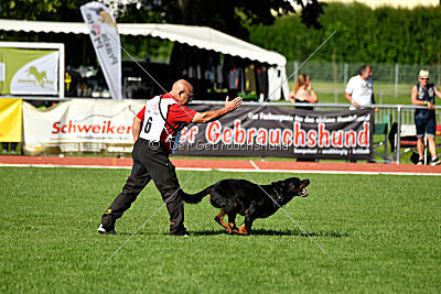 Viktoria von Hohenbeilstein