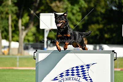 Viktoria von Hohenbeilstein