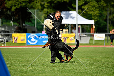 Viktoria von Hohenbeilstein