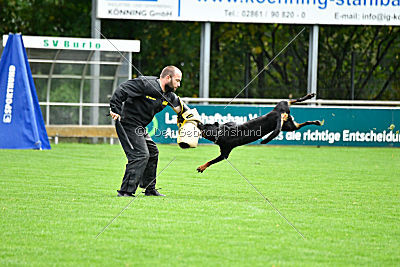 Viktoria von Hohenbeilstein