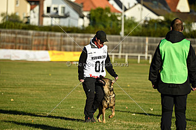 Vila von der Fasanerie2000