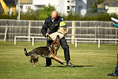 Vila von der Fasanerie2000