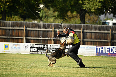 Vila von der Fasanerie2000