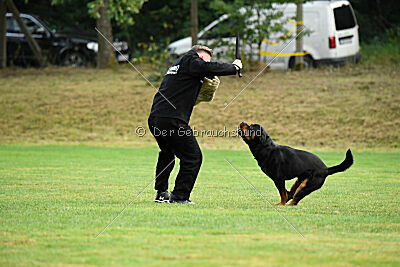 Vili vom Hause Neubrand