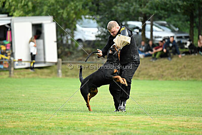 Vili vom Hause Neubrand