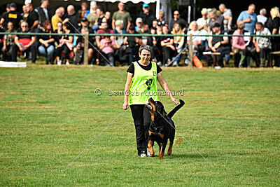 Vili vom Hause Neubrand