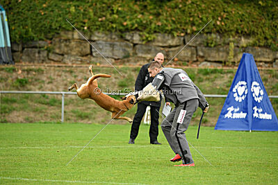 Villa on the Rocks von der Steinteichmühle