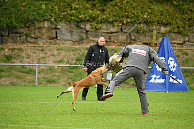 Villa on the Rocks von der Steinteichmühle