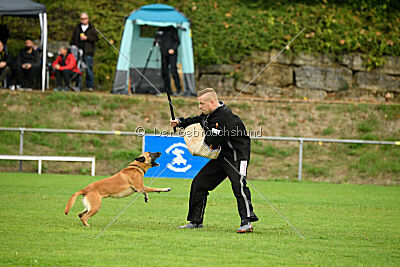 Villa on the Rocks von der Steinteichmühle