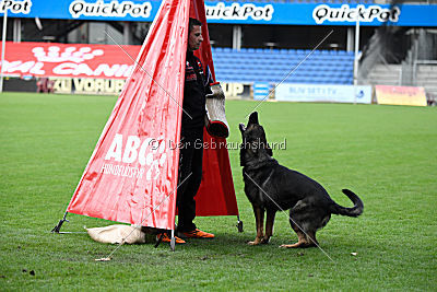 Viper z Nového Draka