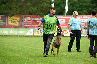 Vito vom Holzhäuser Flur