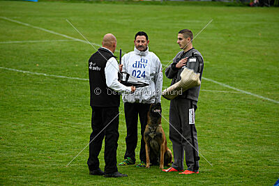 Vito vom Holzhäuser Flur