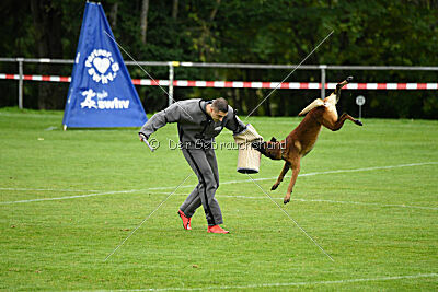 Vito vom Holzhäuser Flur