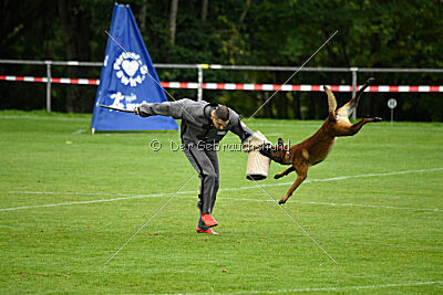 Vito vom Holzhäuser Flur