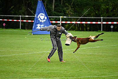 Vito vom Holzhäuser Flur