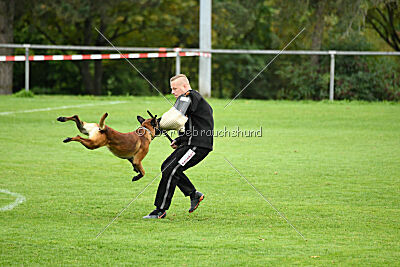 Vito vom Holzhäuser Flur