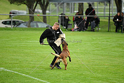 Vito vom Holzhäuser Flur