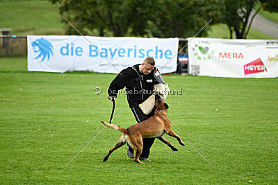 Vito vom Holzhäuser Flur