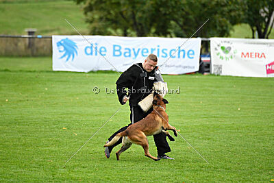 Vito vom Holzhäuser Flur