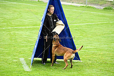 Vito vom Holzhäuser Flur