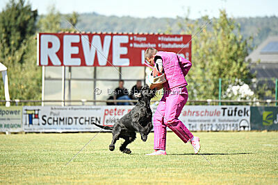 Vivo Beck's vom Beisetal