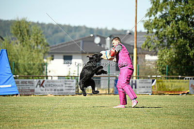 Vivo Beck's vom Beisetal