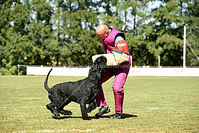 Vivo Beck's vom Beisetal