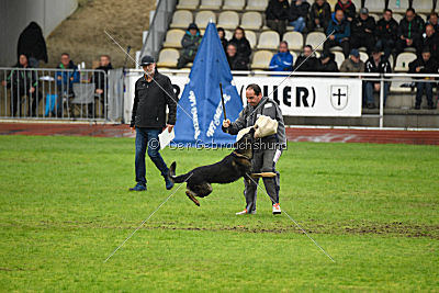 Vletcher aus der Birkenschäferei