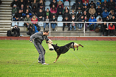 Vletcher aus der Birkenschäferei