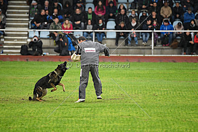 Vletcher aus der Birkenschäferei