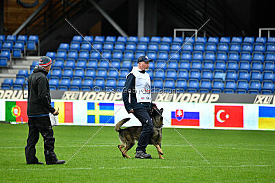 Vrochas cami at shangay
