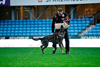 Vrochas cami at shangay