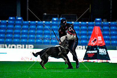 Vrochas cami at shangay