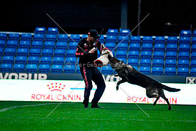 Vrochas cami at shangay