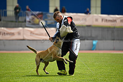Vulcan vom Further Moor