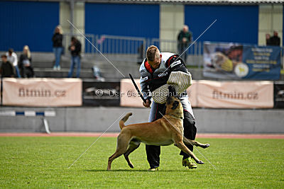 Vulcan vom Further Moor