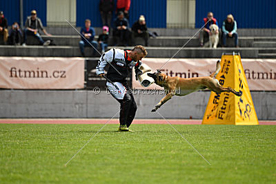 Vulcan vom Further Moor